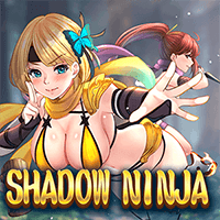 Shadow Ninja